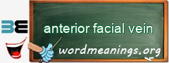 WordMeaning blackboard for anterior facial vein
